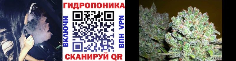 Конопля VHQ  хочу наркоту  Нытва 
